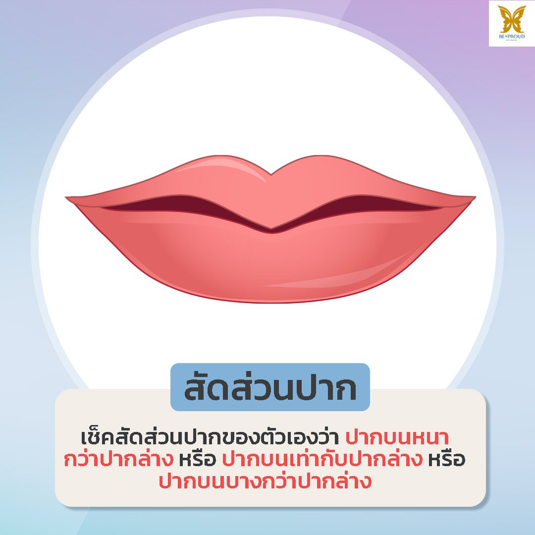 สัดส่วนปาก สัดส่วนปาก