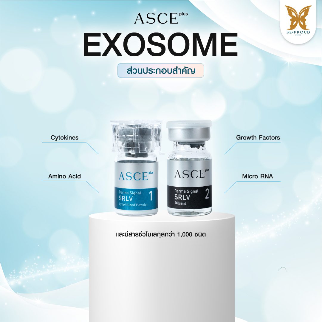 ส่วนประกอบ exosome ส่วนประกอบ exosome